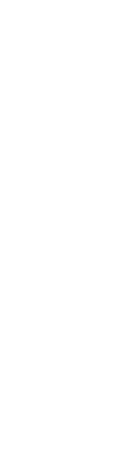 素材を活かした中華