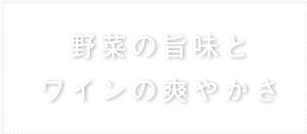 野菜の旨味とワインの爽やかさ